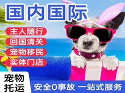 三明沙县机场托运国际宠物托运 【国